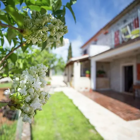 Holiday home Spacious Holiday Near Sea In Bale